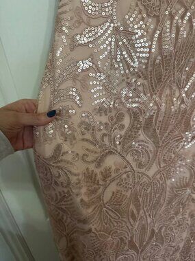 Blush sequin dress